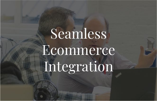 Seamless Ecommerce Integration